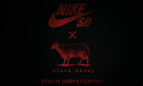 nike sb schuhe|Nike SB – Black Sheep Skate Shop